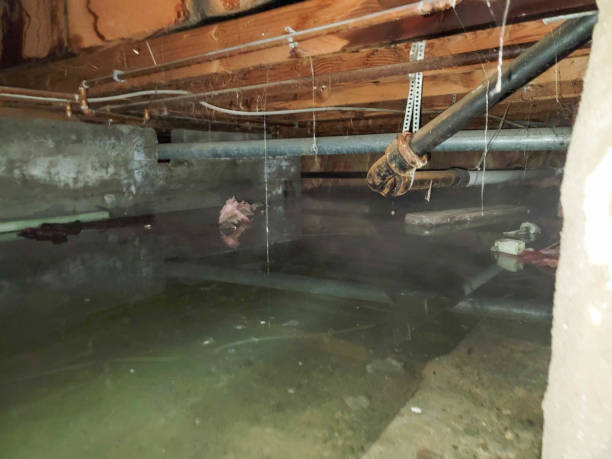 Best Water damage restoration near me  in Inverness, IL