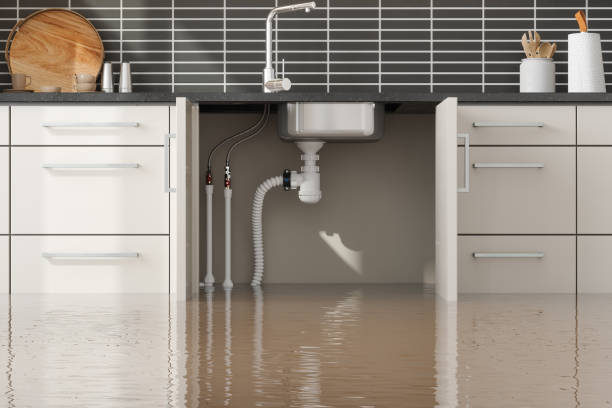 Best Water damage restoration near me  in Inverness, IL