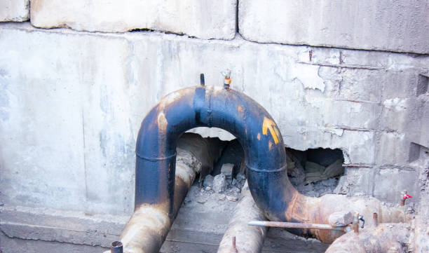 Best Water damage contractors near me  in Inverness, IL