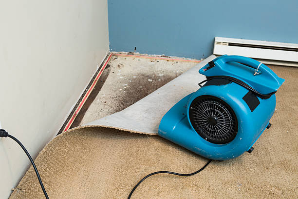 Best 24-hour water damage restoration  in Inverness, IL